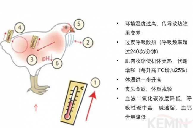 尊龙凯时·(中国)官方网站